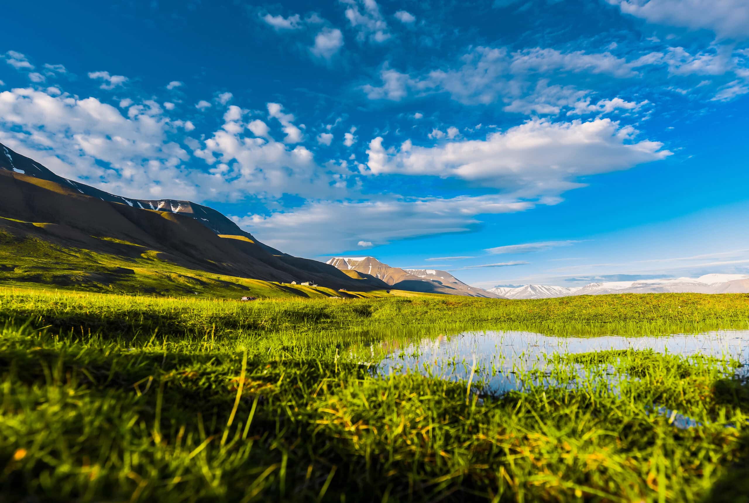 Landschaft